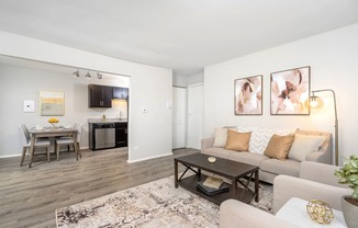 apartment living room with gray sofa and kitchen with dining area