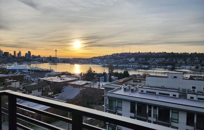 1 bed, 1 bath, 385 sqft, $1,795, Unit 206