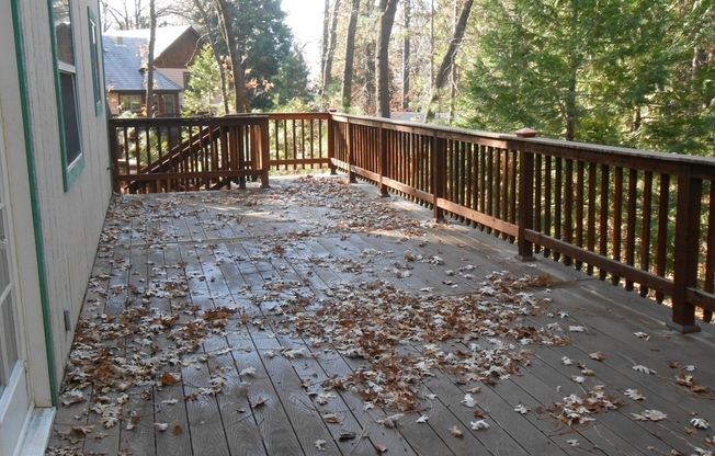 $1,000 MOVE IN SPECIAL OFF FIRST MONTHS RENT.