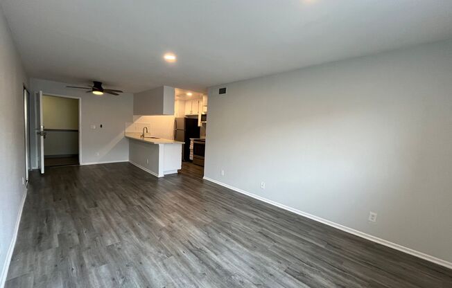 1 bed, 1 bath, 695 sqft, $1,698, Unit 303