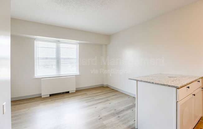 Studio, 1 bath, 329 sqft, $695, Unit 433