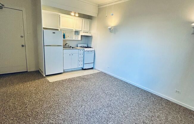 Studio, 1 bath, 241 sqft, $1,250, Unit 410