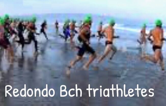 1 bed, 1 bath, 500 sqft, $2,295, Unit 303