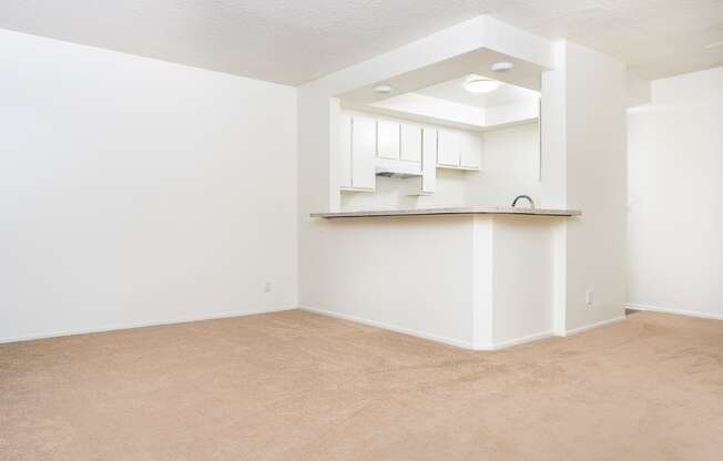 an empty living room and kitchen with white walls and carpet