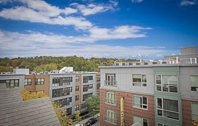 1 bed, 1 bath, 628 sqft, $2,950, Unit 413