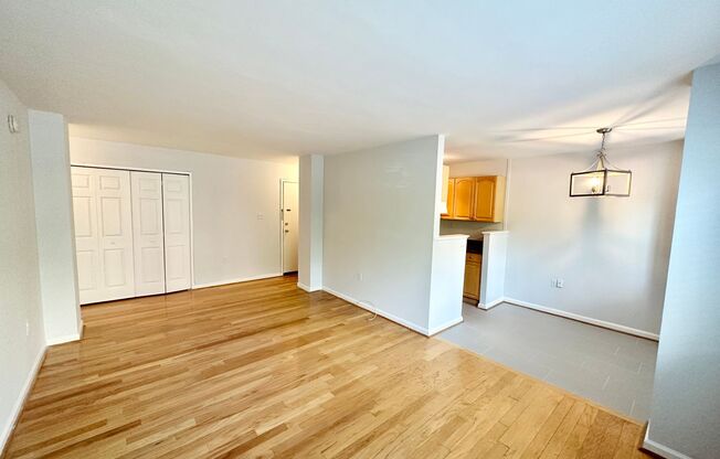 Spacious One Bedroom Condo In the Heart of Dupont - 17th/New Hampshire.