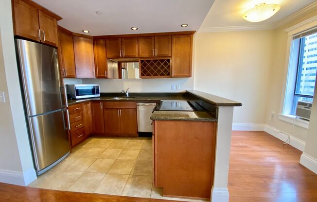 Studio, 1 bath, 527 sqft, $1,695, Unit 0702
