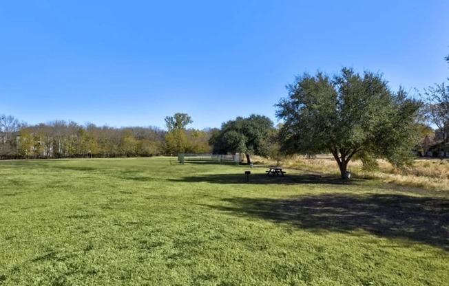 A large open field with a tree and picnic table.