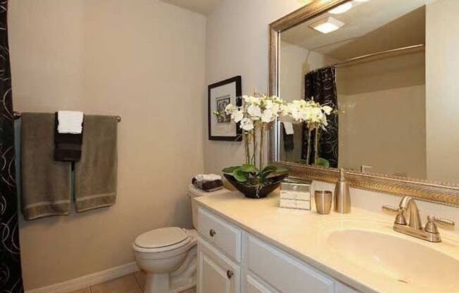 1 bed, 1 bath, 861 sqft, $1,215, Unit 09204