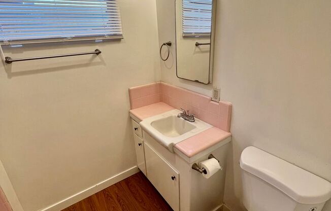 Studio, 1 bath, 500 sqft, $1,595, Unit 342 Temple Ave #3