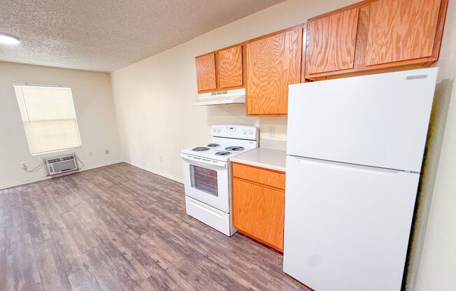 1 bed, 1 bath, 480 sqft, $600