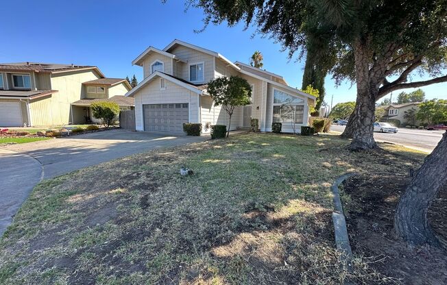 Beautiful 4 Bedroom 2.5 Bath Manteca Home / Best Property Management