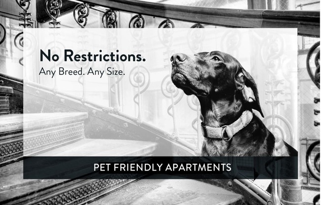 Lake Phalen Place pet friendly