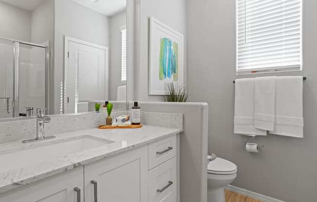 a bathroom with a sink and a toilet and a mirror