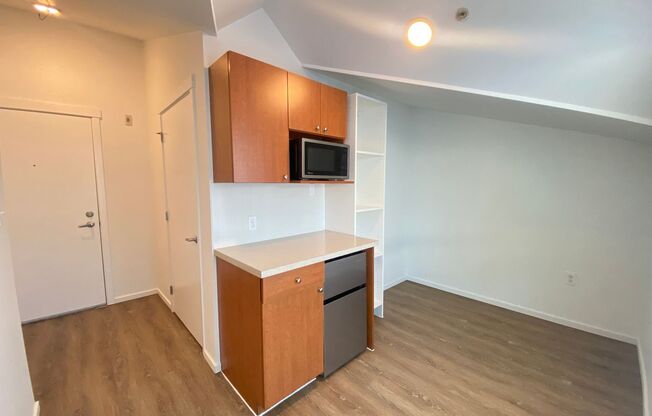 Studio, 1 bath, 176 sqft, $1,150, Unit 3508