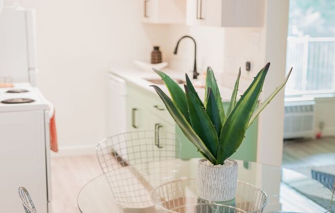 Studio, 1 bath, 445 sqft, $1,199, Unit 207