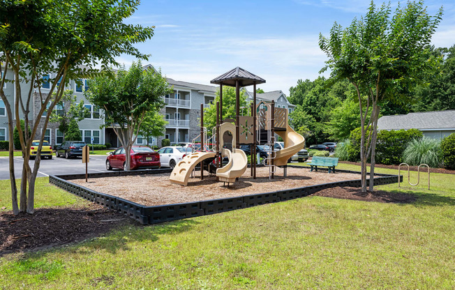 Vinings at Carolina Bays Playground