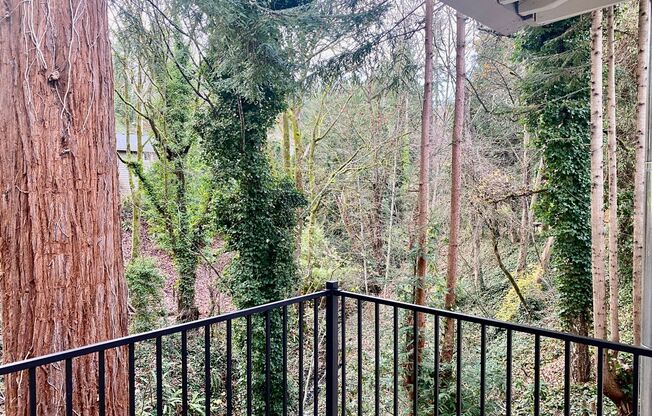 4 beds, 2.5 baths, $3,455