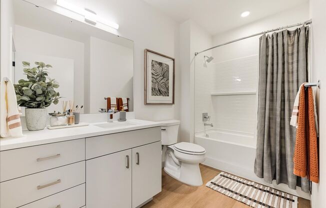 1 bed, 1 bath, 737 sqft, $2,049, Unit 510