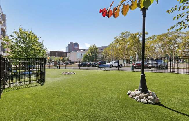 A park with a black fence and a tree with multicolored leaves.
