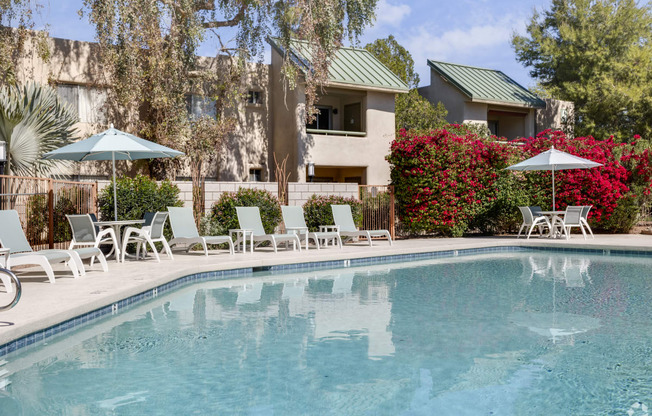 the swimming pool at the resort