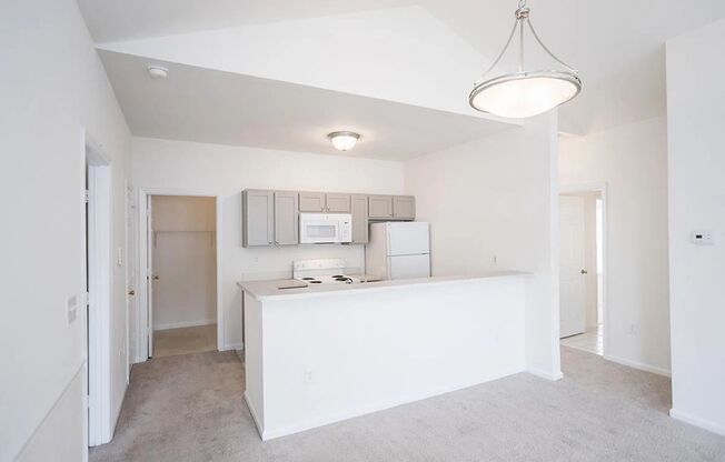2 beds, 2 baths, 1,123 sqft, $1,420, Unit 4450-2D