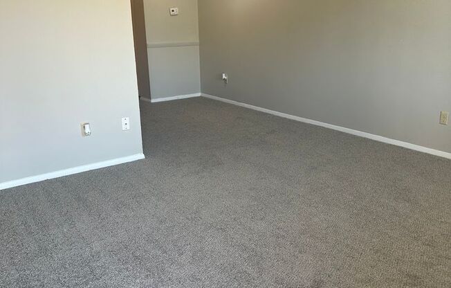 Black Pine Flats