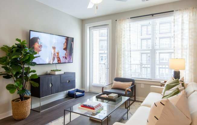 Living Room with Plenty of Natural Light