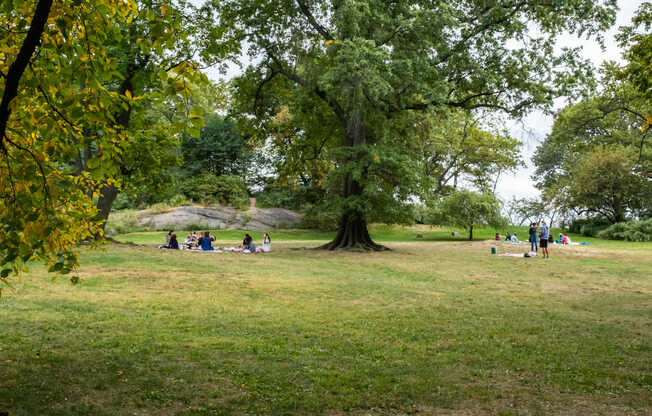 Take a break from the bustling city with a picnic in Central Park.