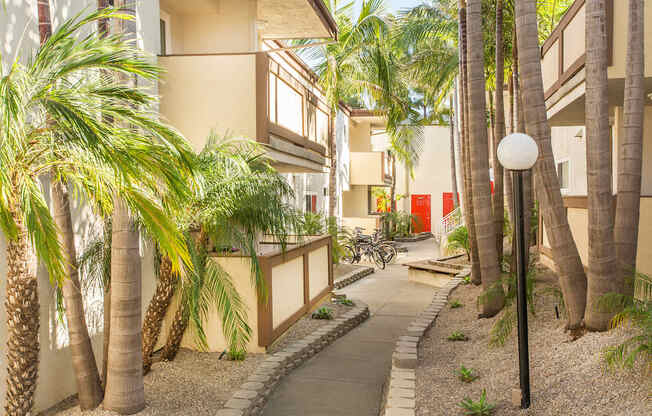 Pacific Sands walkway with tropical landscaping at Pacific Sands, San Diego, CA, 92117