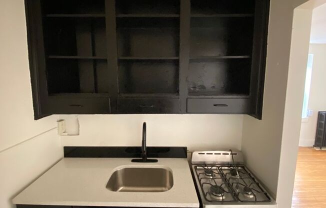 Studio, 1 bath, 300 sqft, $1,550, Unit Unit 115
