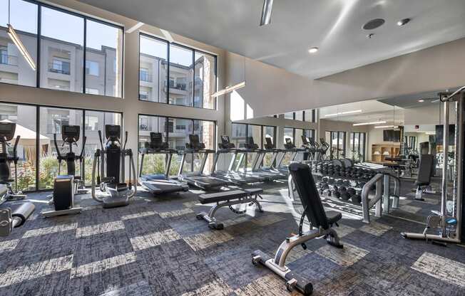 The Athletic Center with Cardio Theater, Free Weights, and More at Windsor Burnet, Austin, TX