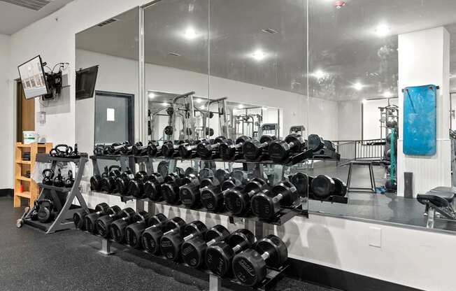 A gym with a mirrored wall and a rack of dumbbells.