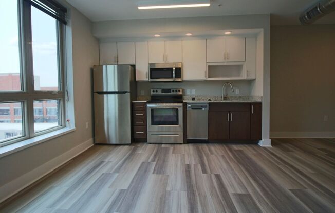 Studio, 1 bath, 443 sqft, $1,195, Unit APT 224