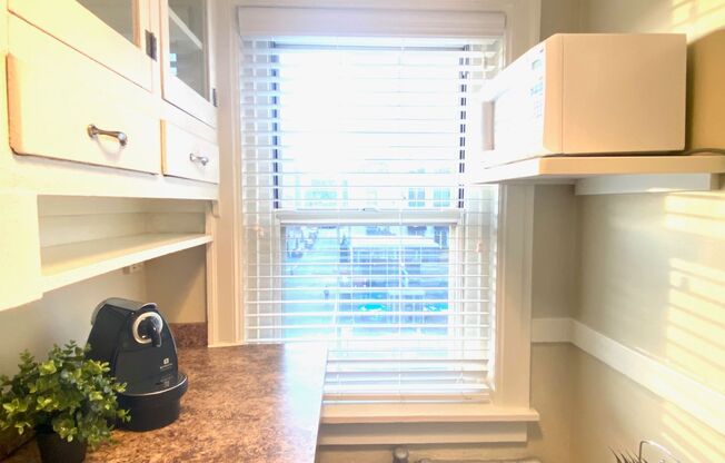 Studio, 1 bath, 300 sqft, $825, Unit 403