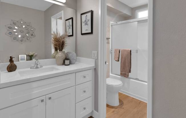 a bathroom with a sink and a toilet