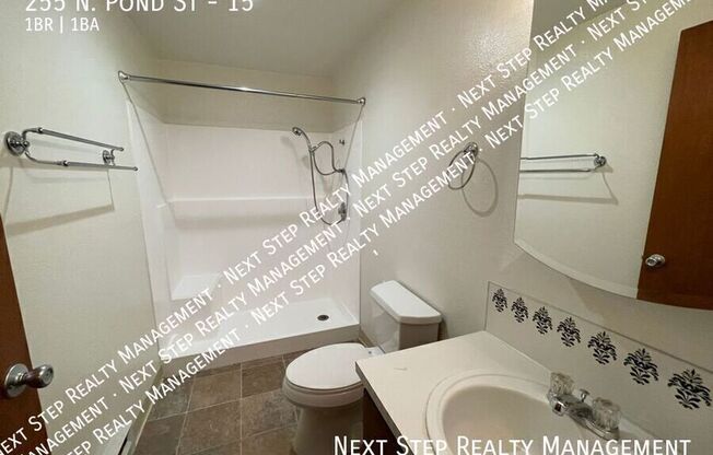 255 N POND