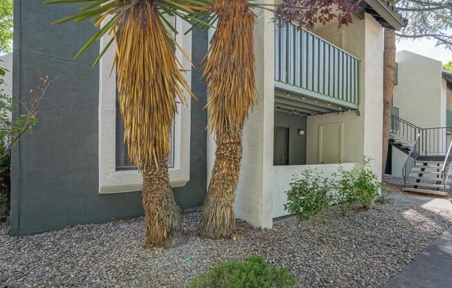Treehouse Apartments Exterior in Albuquerque, New Mexico
