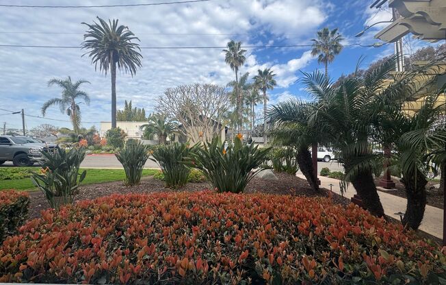 Studio, 1 bath, 415 sqft, $2,475, Unit 17