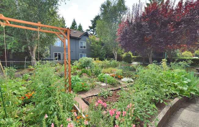 the garden is full of flowers and vegetables and has a pergola