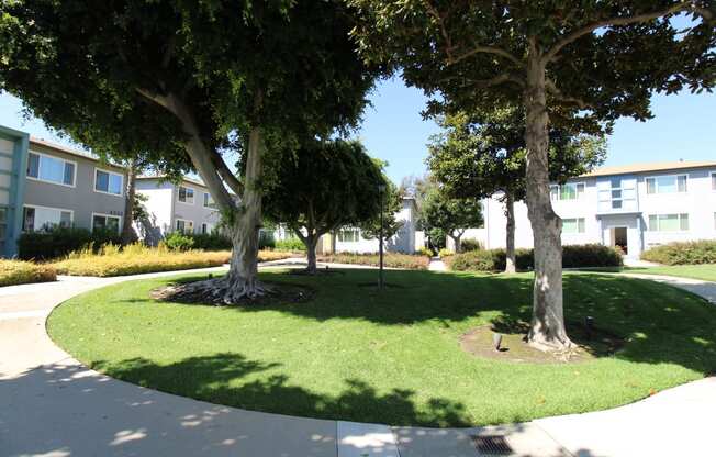 a grassy area with trees and buildings in the background