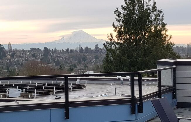 Studio, 1 bath, 278 sqft, $1,475, Unit 201
