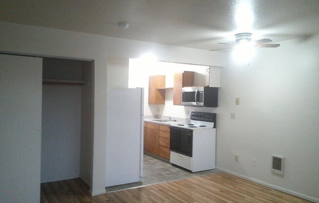 Studio, 1 bath, 400 sqft, $995, Unit 2057-07