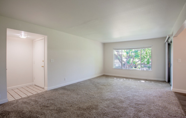 Blossom Hill Apartments