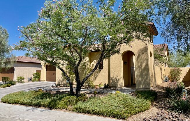 Beautiful 3 Bedroom/2 Bath Single Level Home in Estrella Mountain Ranch