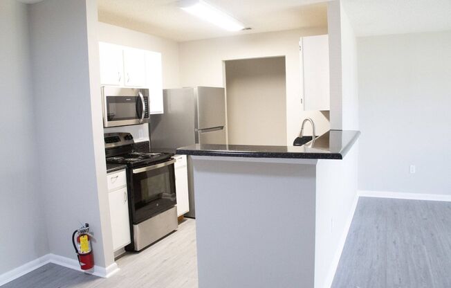 1 bed, 1 bath, 736 sqft, $999