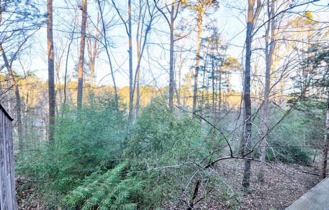 Conveniently located Carrboro 3 bed/2.5 bath Townhouse