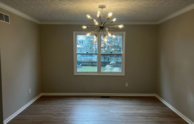 Dublin Schools - Newly Renovated 4 BR