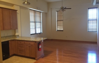 Pine Street Lofts - Residential