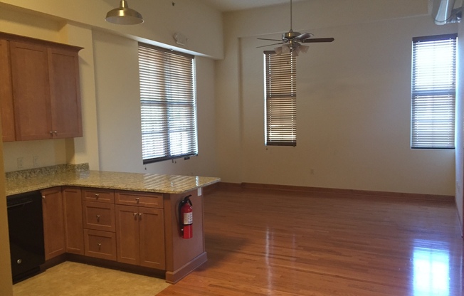 Pine Street Lofts - Residential